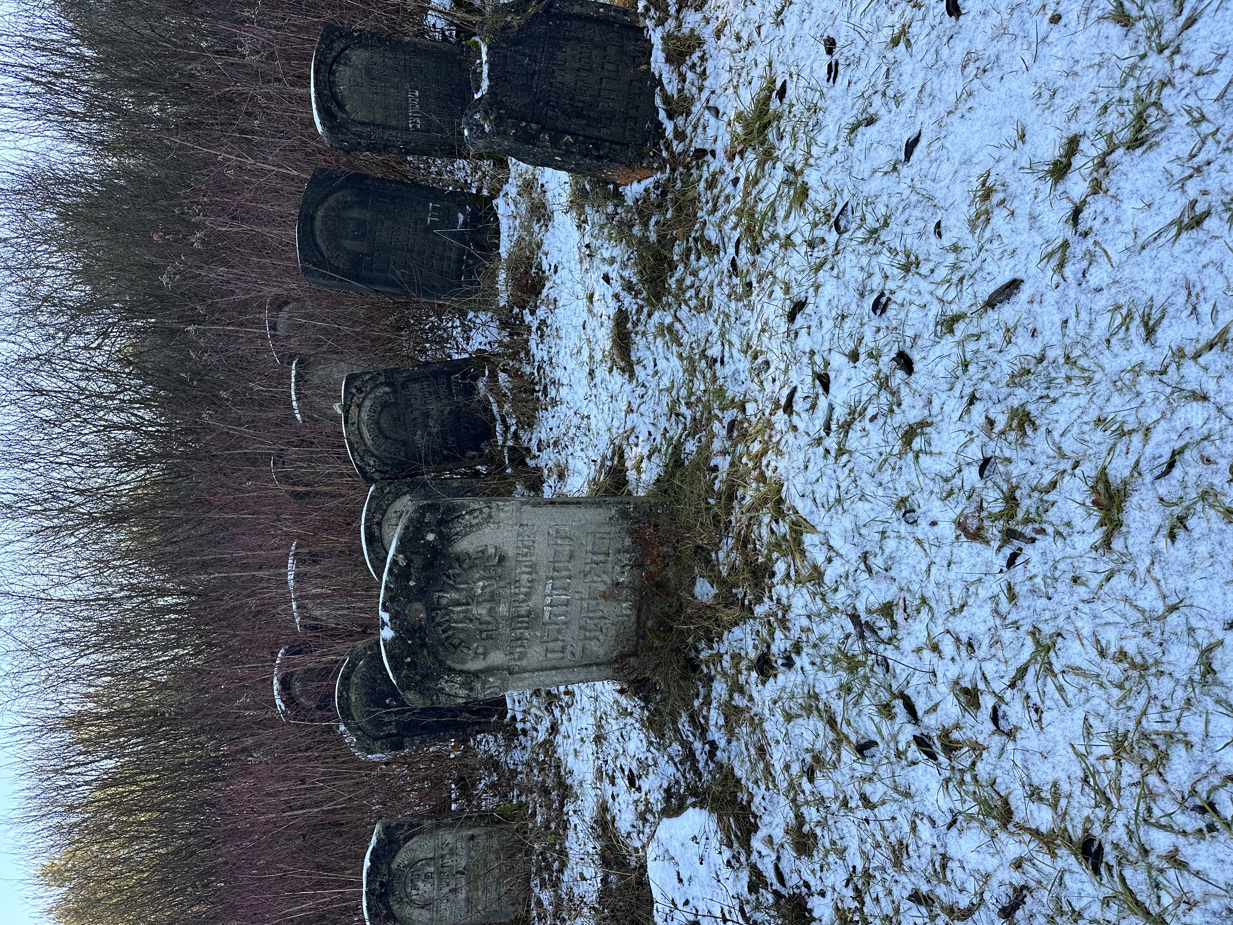 Image for DAY 4 November 26: Józefów Abby, Jenai, Casey, Justin